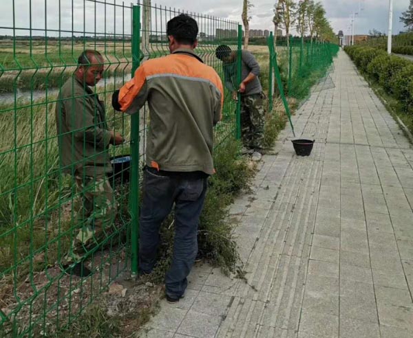 雙邊絲護欄網價格 雙邊絲護欄網價格