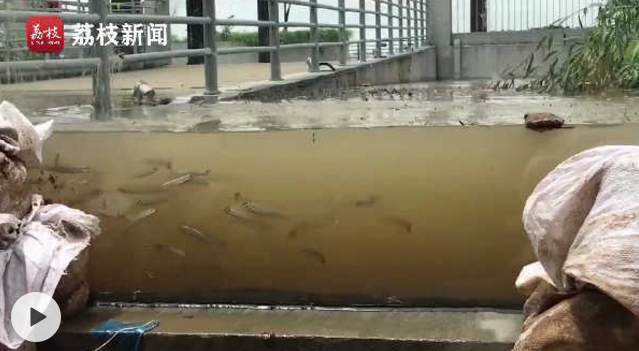 南京護欄.png 南京護欄.png